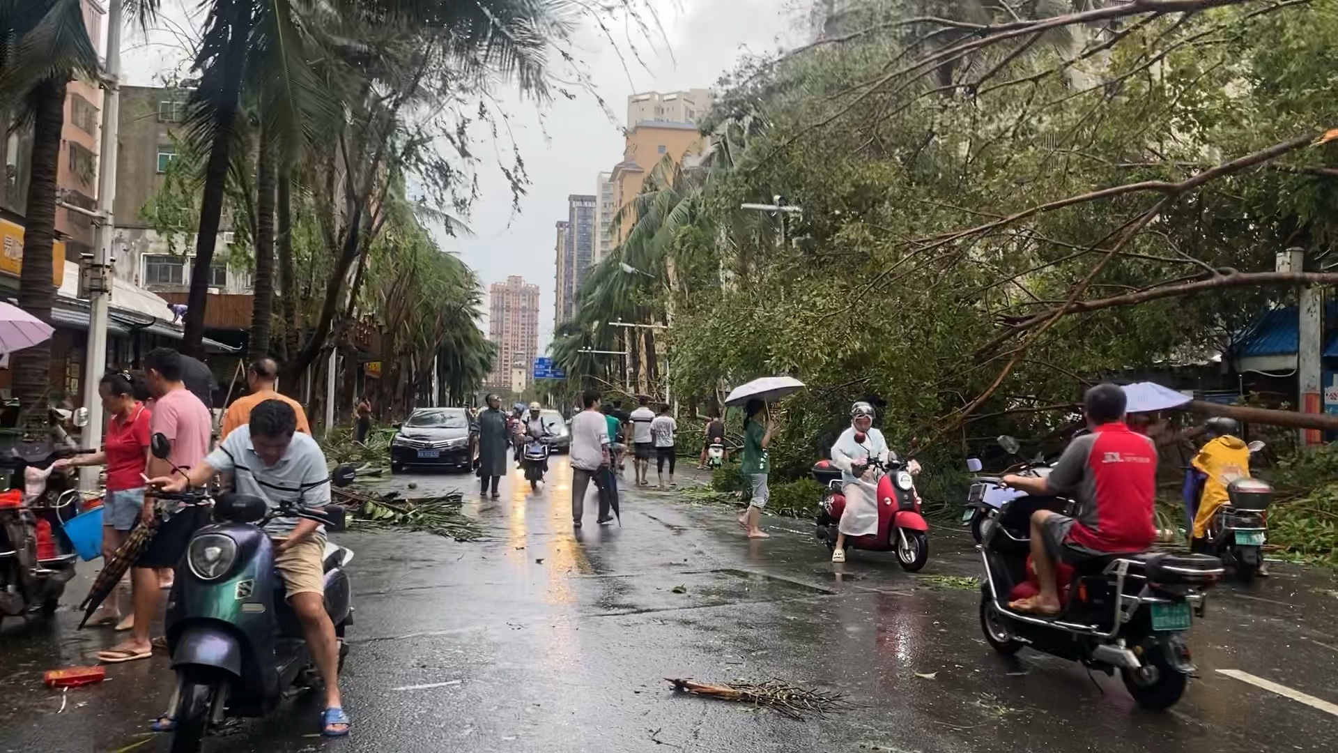 温馨小城遭遇台风袭击，最新消息与故事关注中