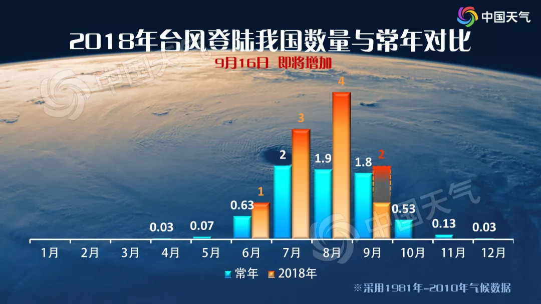 最新上港动态解析，全面解读与观点阐述
