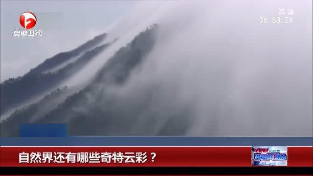 微云闪退？别担心，大自然是心灵疗愈的最佳场所