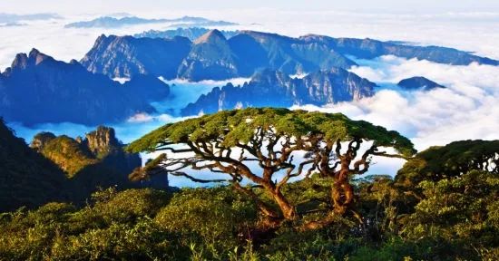民国蝶影最新，与自然美景的轻松之旅探秘之旅