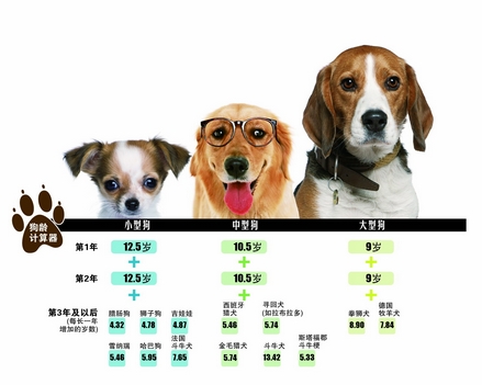 7777788888精准狗狗,详细数据解读_变革版57.500