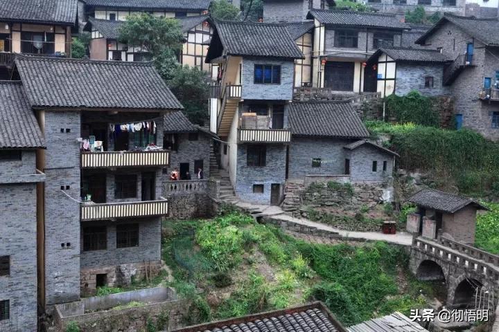 泸州高新区绿色之旅，最新动态与内心宁静的探寻