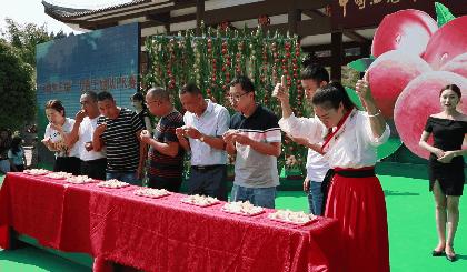西充招聘网最新招聘信息，开启人生新篇章，学习变化，拥抱自信与成就
