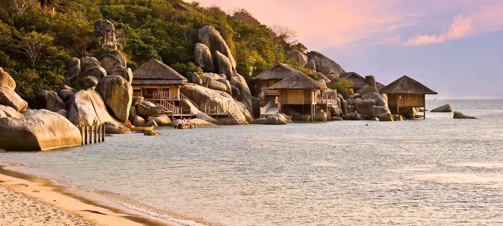 疫情下的自然探索，最新数据与内心宁静之旅