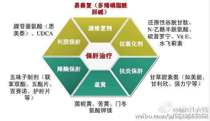 最新肝病药物及其治疗进展，新希望之光照亮肝病治疗之路