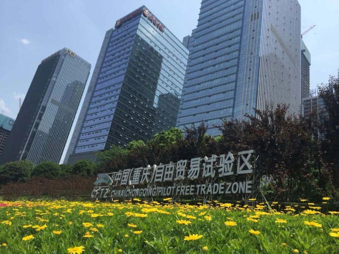 有村最新现象，多维解读下的观察与探讨