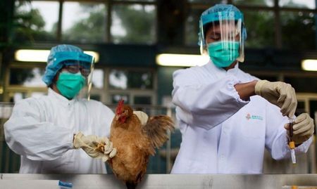 H7N9最新疫情动态与小巷独特风味探秘