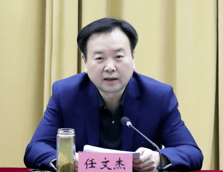 河南巡视组最新动态，深度分析与个人观点观察