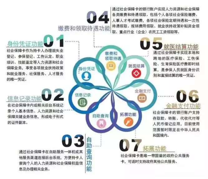 成都最新社保政策深度解读，时代背景下的保障与变革