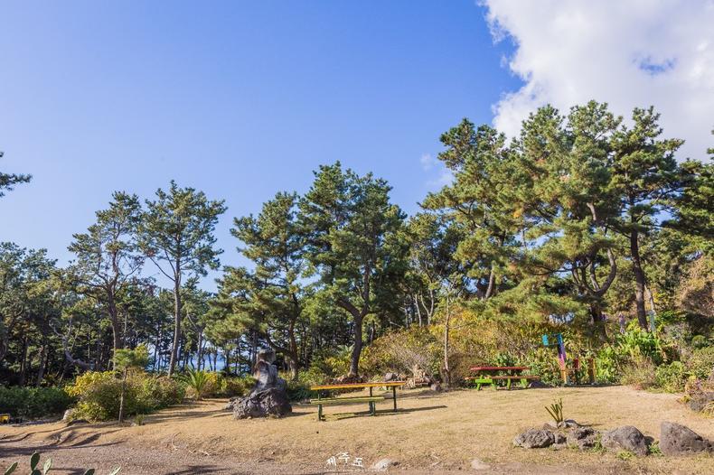 最新男女合唱探秘自然美景，心灵之旅寻找平和之地