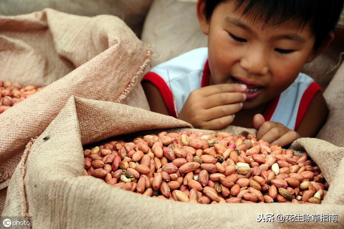 辽宁花生米最新价格及小巷美食探索之旅