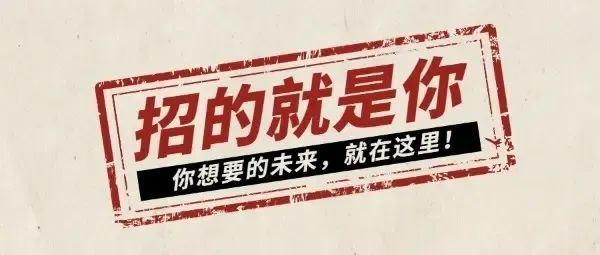 沅陵县招聘网最新招聘信息，时代脉搏下的就业新篇章