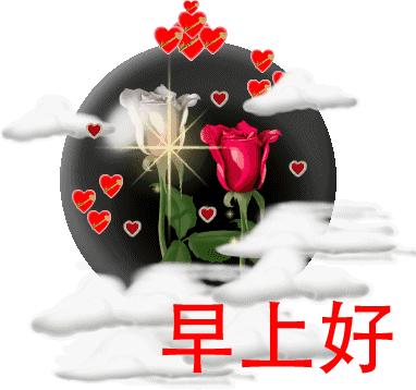 立伟网络科技 第67页