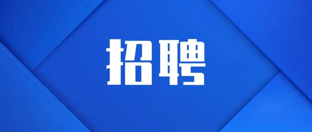 职业发展