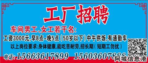 肥城女工招聘最新信息