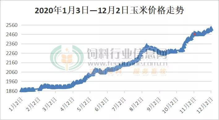 陈化粮玉米最新价格及市场走势分析与观点阐述