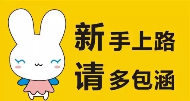 苏州招聘驾驶员最新信息及日常趣事与情感纽带体验