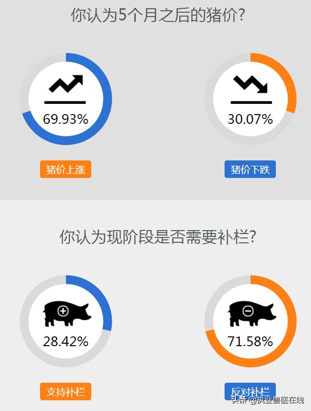 多重因素影响下的市场态势分析，猪价最新走势探讨