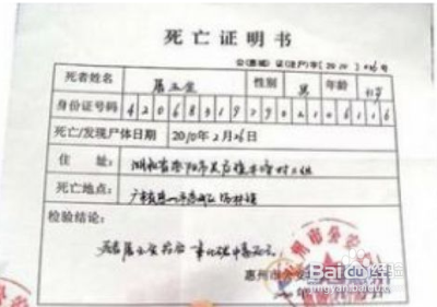 死亡证明最新规定详解，观点论述与改革动向