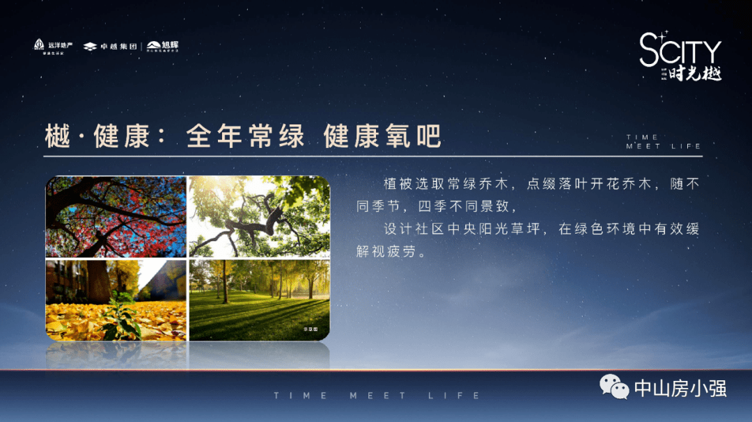 刘猛最新电视剧，深度解析与探讨热议话题