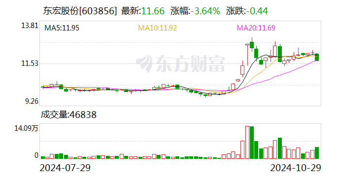 东宏股份最新动态深度解析与观点分享