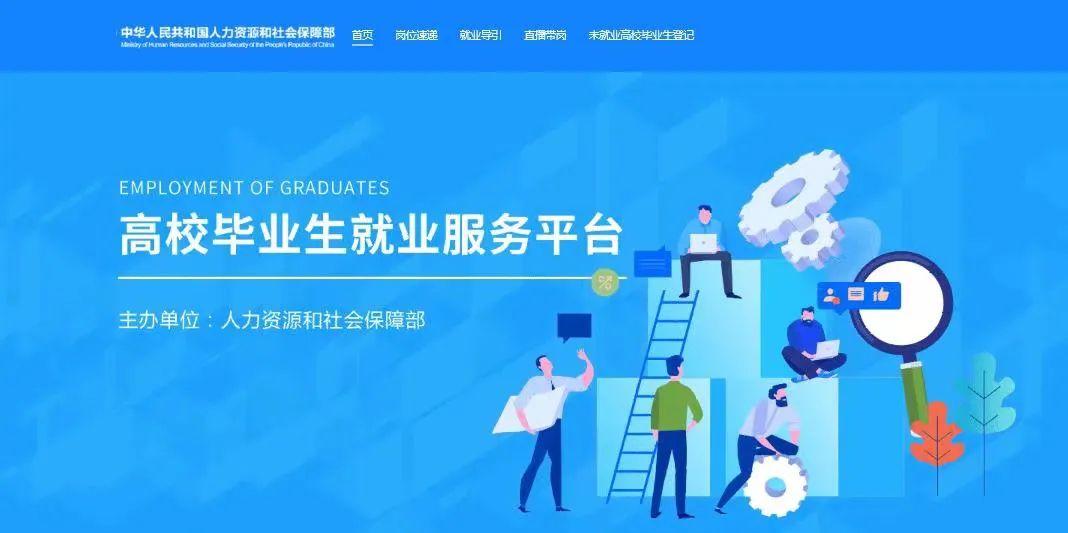 网站最新版使用指南详解