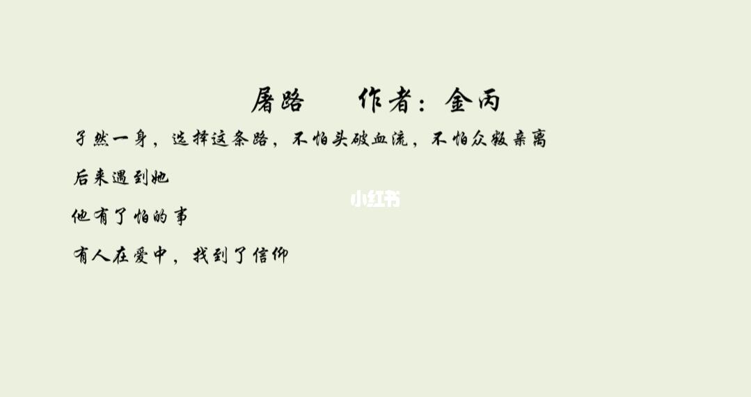 金丙最新小说深度探讨观点与影响