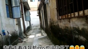 探索隐藏风味，NGINX最新版本的背后故事与一家独特小店