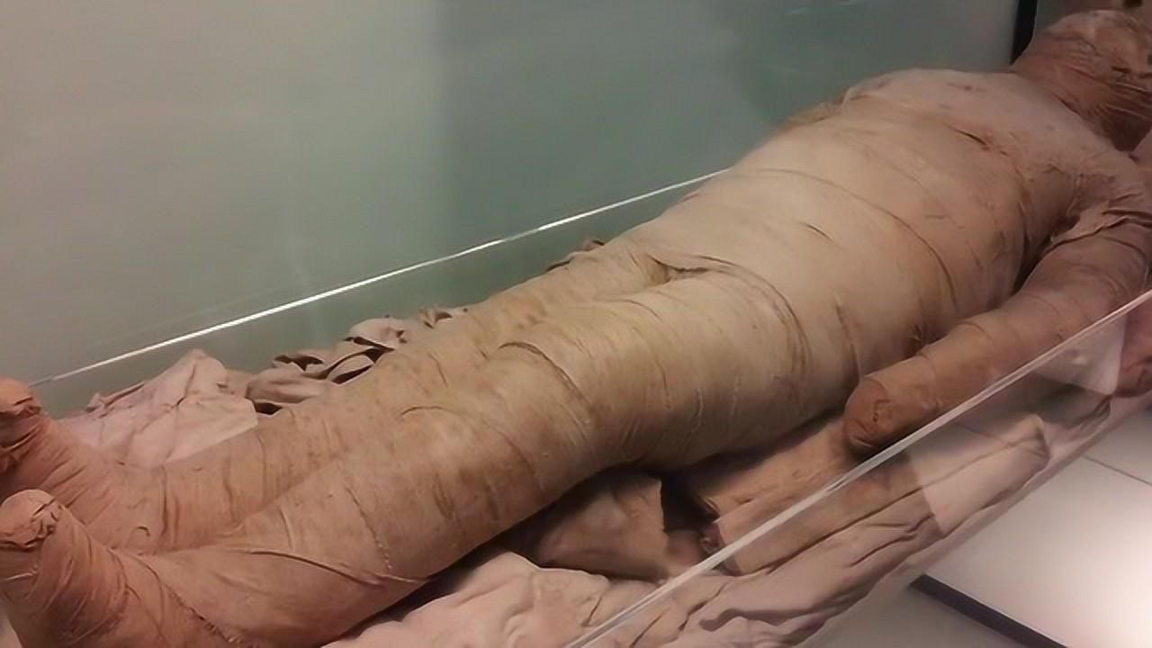 木乃伊最新揭秘，神秘与震撼的重现之夜🔥