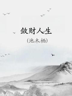 揭开财富增长之道的神秘面纱，敛财人生最新章节分享