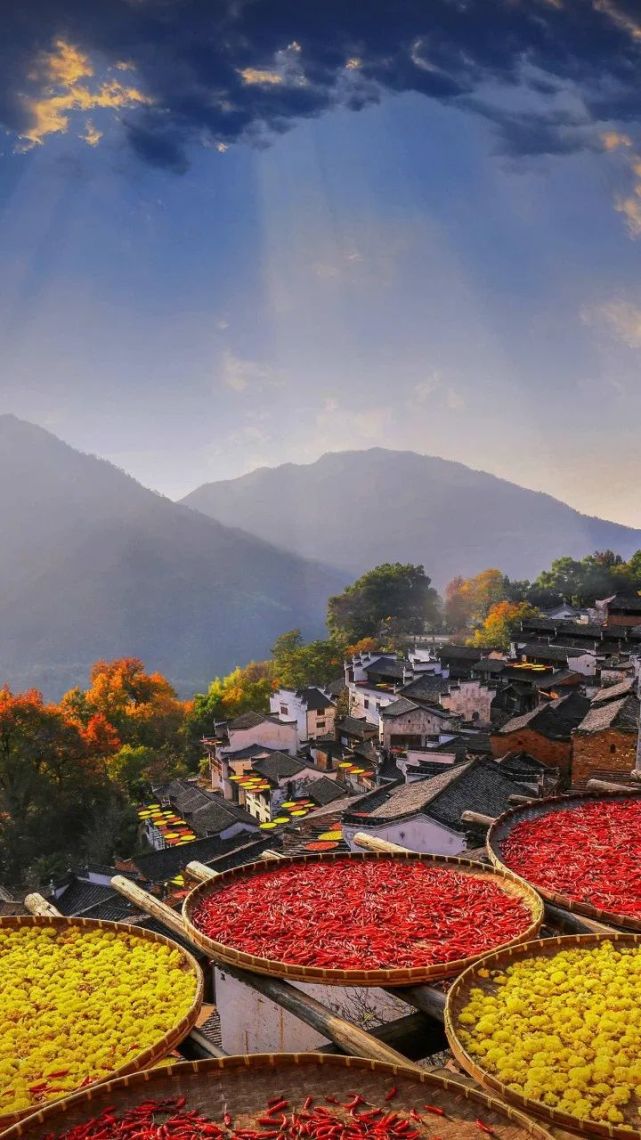 张世最新，自然美景的心灵之旅探索