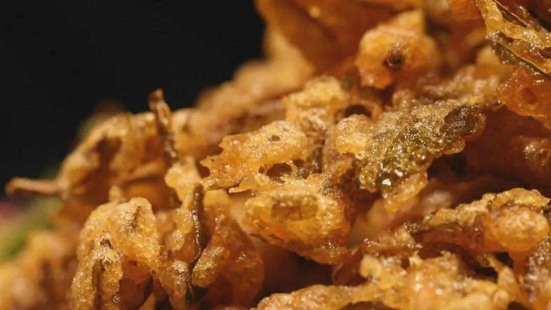 榆钱美食与健康价值的探索最新资讯