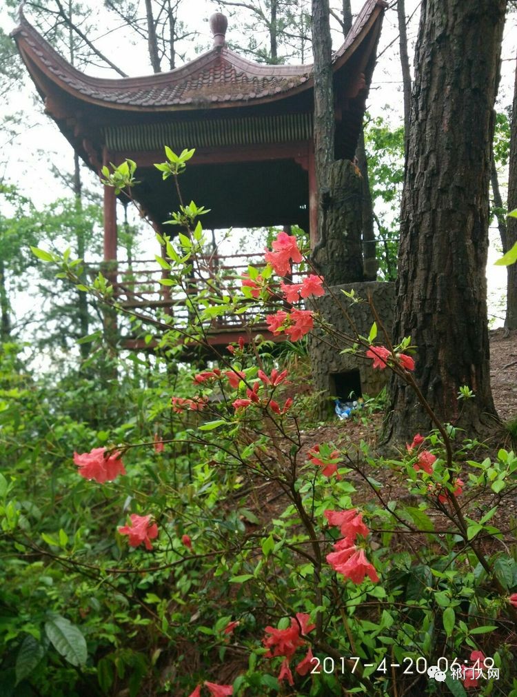 祁门最新探索，自然美景的治愈之旅