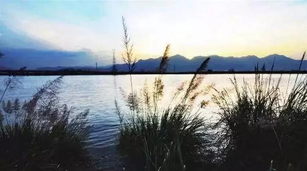 IU最新动态，探寻自然美景之旅，寻觅内心宁静的足迹